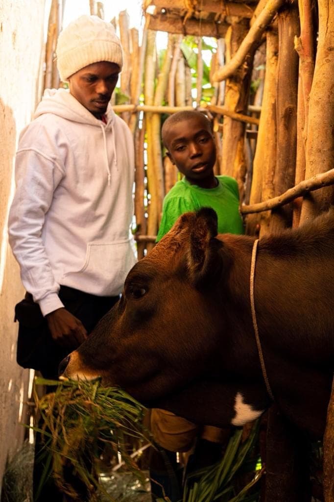 Introducing a child to livestock at a community farm