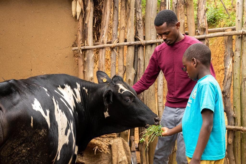 Feeding a cow with children at a Berulo Foundation farm