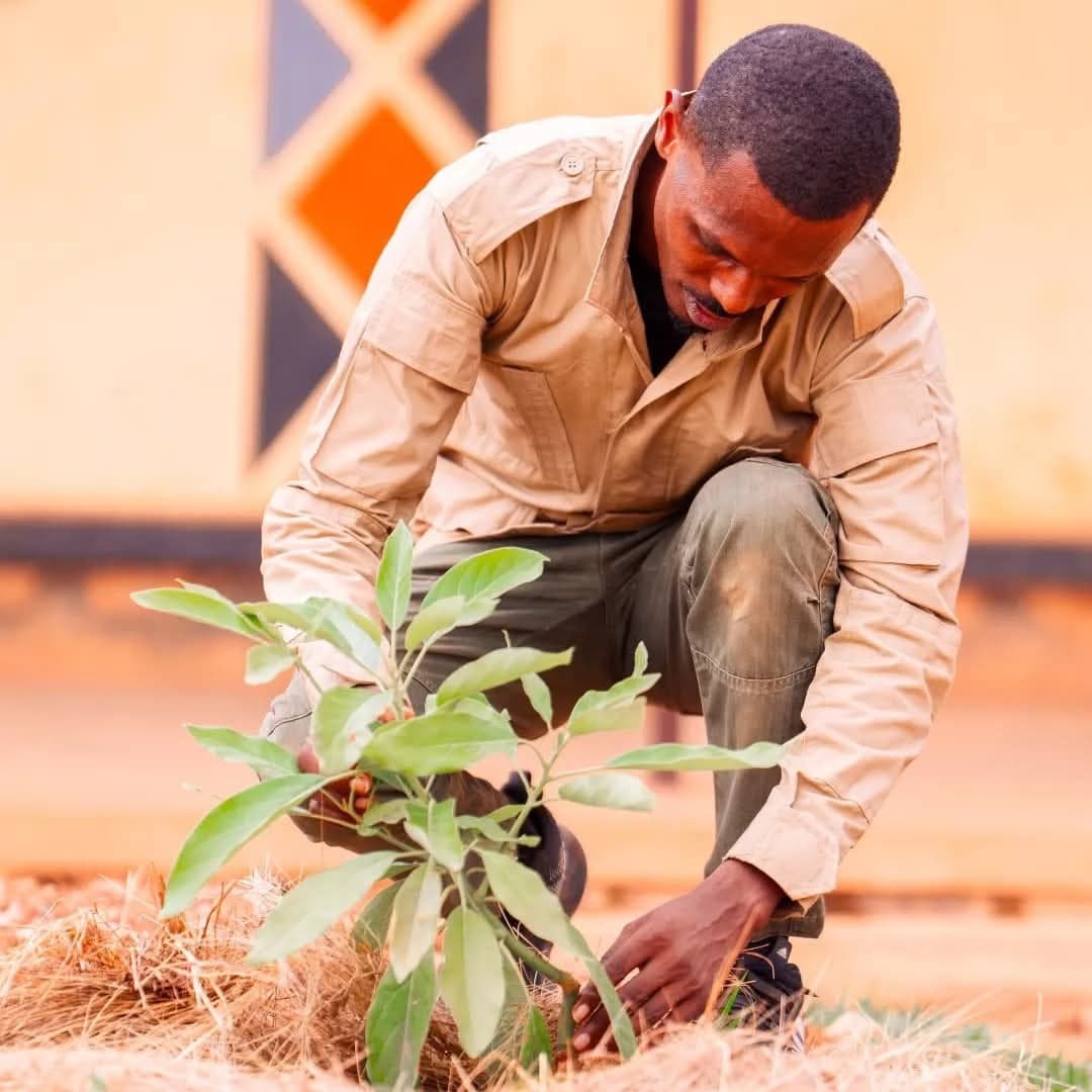 Planting a tree seedling for climate action